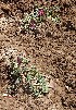  ( - HPAP22)  @11 [ ] Unspecified (default): All Rights Reserved  Unspecified Unspecified