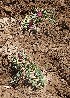 ( - HPAP43)  @11 [ ] Unspecified (default): All Rights Reserved  Unspecified Unspecified