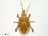  ( - BIOUG23330-E04)  @11 [ ] CreativeCommons - Attribution (2016) CBG Photography Group Centre for Biodiversity Genomics