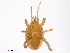  ( - BIOUG23330-E06)  @11 [ ] CreativeCommons - Attribution (2016) CBG Photography Group Centre for Biodiversity Genomics