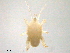  ( - BIOUG23330-E07)  @11 [ ] CreativeCommons - Attribution (2016) CBG Photography Group Centre for Biodiversity Genomics