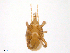  ( - BIOUG23330-F05)  @11 [ ] CreativeCommons - Attribution (2016) CBG Photography Group Centre for Biodiversity Genomics