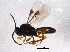  ( - BIOUG07078-C04)  @13 [ ] CreativeCommons - Attribution (2014) CBG Photography Group Centre for Biodiversity Genomics