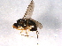  ( - BIOUG07129-E08)  @12 [ ] CreativeCommons - Attribution (2014) CBG Photography Group Centre for Biodiversity Genomics