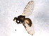  ( - BIOUG07129-H04)  @12 [ ] CreativeCommons - Attribution (2014) CBG Photography Group Centre for Biodiversity Genomics