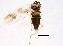  ( - BIOUG07130-H02)  @13 [ ] CreativeCommons - Attribution (2014) CBG Photography Group Centre for Biodiversity Genomics