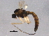  ( - BIOUG07150-H10)  @12 [ ] CreativeCommons - Attribution (2014) CBG Photography Group Centre for Biodiversity Genomics