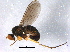  ( - BIOUG07153-A12)  @13 [ ] CreativeCommons - Attribution (2014) CBG Photography Group Centre for Biodiversity Genomics