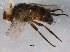  ( - BIOUG07196-E11)  @13 [ ] CreativeCommons - Attribution (2014) CBG Photography Group Centre for Biodiversity Genomics