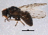  ( - BIOUG07196-F05)  @13 [ ] CreativeCommons - Attribution (2014) CBG Photography Group Centre for Biodiversity Genomics