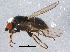  ( - BIOUG07199-G10)  @12 [ ] CreativeCommons - Attribution (2014) CBG Photography Group Centre for Biodiversity Genomics