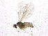  ( - BIOUG07225-G09)  @13 [ ] CreativeCommons - Attribution (2014) CBG Photography Group Centre for Biodiversity Genomics