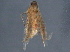 ( - BIOUG07278-A02)  @12 [ ] CreativeCommons - Attribution (2014) CBG Photography Group Centre for Biodiversity Genomics