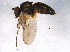  ( - BIOUG07349-E09)  @13 [ ] CreativeCommons - Attribution (2014) CBG Photography Group Centre for Biodiversity Genomics