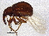  ( - BIOUG07428-B07)  @13 [ ] CreativeCommons - Attribution (2014) CBG Photography Group Centre for Biodiversity Genomics