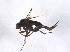 ( - BIOUG07463-A01)  @13 [ ] CreativeCommons - Attribution (2014) CBG Photography Group Centre for Biodiversity Genomics