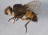  ( - BIOUG07463-C02)  @14 [ ] CreativeCommons - Attribution (2014) CBG Photography Group Centre for Biodiversity Genomics
