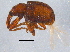  ( - BIOUG07525-A04)  @14 [ ] CreativeCommons - Attribution (2014) CBG Photography Group Centre for Biodiversity Genomics