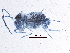  ( - BIOUG07525-G04)  @12 [ ] CreativeCommons - Attribution (2015) CBG Photography Group Centre for Biodiversity Genomics