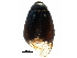  ( - BIOUG07704-A01)  @13 [ ] CreativeCommons - Attribution (2016) CBG Photography Group Centre for Biodiversity Genomics