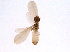  ( - BIOUG07653-H04)  @13 [ ] CreativeCommons - Attribution (2014) CBG Photography Group Centre for Biodiversity Genomics