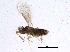  ( - BIOUG07665-A04)  @13 [ ] CreativeCommons - Attribution (2014) CBG Photography Group Centre for Biodiversity Genomics