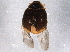  ( - BIOUG07815-F04)  @13 [ ] CreativeCommons - Attribution (2014) CBG Photography Group Centre for Biodiversity Genomics