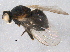  ( - BIOUG08424-C03)  @12 [ ] CreativeCommons - Attribution (2014) CBG Photography Group Centre for Biodiversity Genomics
