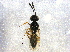 ( - BIOUG08440-H05)  @12 [ ] CreativeCommons - Attribution (2014) CBG Photography Group Centre for Biodiversity Genomics