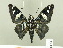  ( - HESP-EB 00 099)  @14 [ ] Copyright (2010) Unspecified Research Collection of Ernst Brockmann
