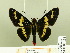  ( - HESP-EB 00 101)  @13 [ ] Copyright (2010) Unspecified Research Collection of Ernst Brockmann