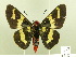  ( - HESP-EB 00 102)  @14 [ ] Copyright (2010) Unspecified Research Collection of Ernst Brockmann