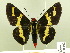  ( - HESP-EB 00 102)  @13 [ ] Copyright (2010) Unspecified Research Collection of Ernst Brockmann