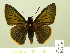  ( - HESP-EB 01 089)  @14 [ ] Copyright (2010) Ernst Brockmann Research Collection of Ernst Brockmann