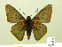  ( - HESP-EB 01 090)  @13 [ ] Copyright (2010) Ernst Brockmann Research Collection of Ernst Brockmann