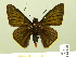  ( - HESP-EB 01 090)  @13 [ ] Copyright (2010) Ernst Brockmann Research Collection of Ernst Brockmann