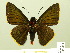  ( - HESP-EB 01 091)  @14 [ ] Copyright (2010) Ernst Brockmann Research Collection of Ernst Brockmann