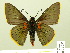  ( - HESP-EB 01 092)  @13 [ ] Copyright (2010) Ernst Brockmann Research Collection of Ernst Brockmann