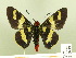  ( - HESP-EB 00 193)  @14 [ ] Copyright (2010) Unspecified Research Collection of Ernst Brockmann