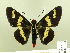  ( - HESP-EB 00 193)  @13 [ ] Copyright (2010) Unspecified Research Collection of Ernst Brockmann