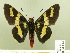  ( - HESP-EB 00 194)  @13 [ ] Copyright (2010) Unspecified Research Collection of Ernst Brockmann