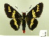 ( - HESP-EB 00 194)  @13 [ ] Copyright (2010) Unspecified Research Collection of Ernst Brockmann
