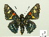 ( - HESP-EB 00 198)  @13 [ ] Copyright (2010) Unspecified Research Collection of Ernst Brockmann