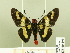  ( - HESP-EB 00 199)  @13 [ ] Copyright (2010) Unspecified Research Collection of Ernst Brockmann