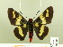  ( - HESP-EB 00 200)  @13 [ ] Copyright (2010) Unspecified Research Collection of Ernst Brockmann