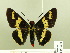  ( - HESP-EB 00 200)  @14 [ ] Copyright (2010) Unspecified Research Collection of Ernst Brockmann