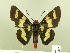 ( - HESP-EB 00 203)  @13 [ ] Copyright (2010) Unspecified Research Collection of Ernst Brockmann