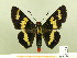  ( - HESP-EB 00 203)  @13 [ ] Copyright (2010) Unspecified Research Collection of Ernst Brockmann