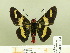  ( - HESP-EB 00 204)  @13 [ ] Copyright (2010) Unspecified Research Collection of Ernst Brockmann