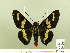  ( - HESP-EB 00 204)  @13 [ ] Copyright (2010) Unspecified Research Collection of Ernst Brockmann